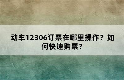 动车12306订票在哪里操作？如何快速购票？