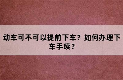 动车可不可以提前下车？如何办理下车手续？