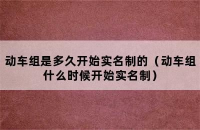 动车组是多久开始实名制的（动车组什么时候开始实名制）