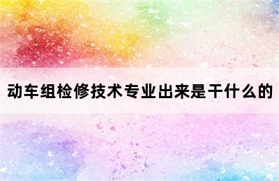 动车组检修技术专业出来是干什么的