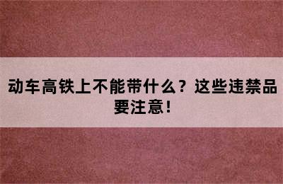 动车高铁上不能带什么？这些违禁品要注意！