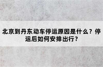 北京到丹东动车停运原因是什么？停运后如何安排出行？
