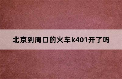 北京到周口的火车k401开了吗