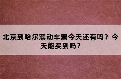 北京到哈尔滨动车票今天还有吗？今天能买到吗？