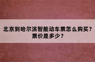 北京到哈尔滨智能动车票怎么购买？票价是多少？