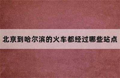 北京到哈尔滨的火车都经过哪些站点