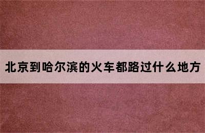 北京到哈尔滨的火车都路过什么地方