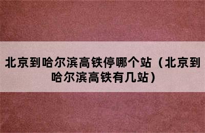 北京到哈尔滨高铁停哪个站（北京到哈尔滨高铁有几站）