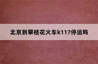 北京到攀枝花火车k117停运吗