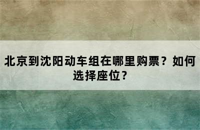 北京到沈阳动车组在哪里购票？如何选择座位？