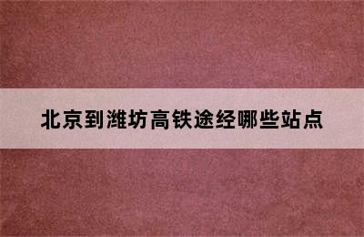 北京到潍坊高铁途经哪些站点