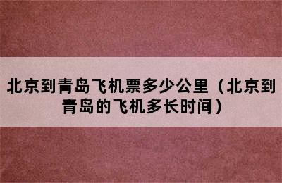 北京到青岛飞机票多少公里（北京到青岛的飞机多长时间）