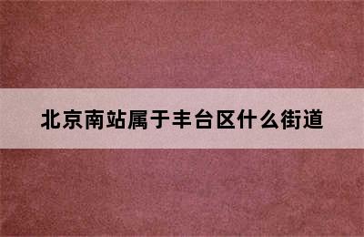 北京南站属于丰台区什么街道