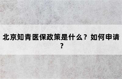 北京知青医保政策是什么？如何申请？