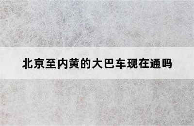 北京至内黄的大巴车现在通吗