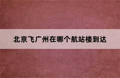 北京飞广州在哪个航站楼到达