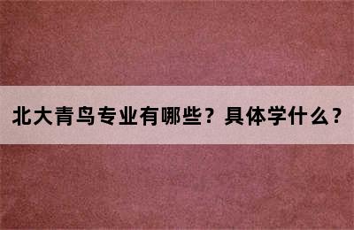 北大青鸟专业有哪些？具体学什么？