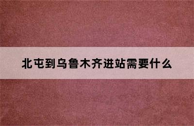 北屯到乌鲁木齐进站需要什么