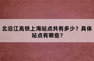 北沿江高铁上海站点共有多少？具体站点有哪些？