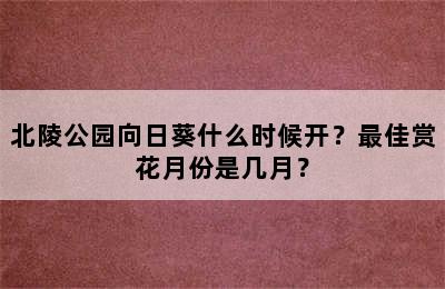 北陵公园向日葵什么时候开？最佳赏花月份是几月？