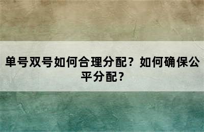 单号双号如何合理分配？如何确保公平分配？