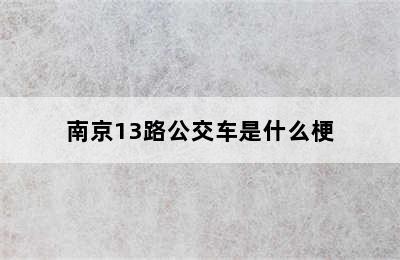 南京13路公交车是什么梗