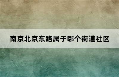 南京北京东路属于哪个街道社区