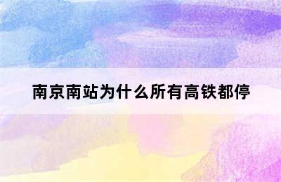 南京南站为什么所有高铁都停