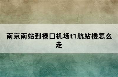 南京南站到禄口机场t1航站楼怎么走