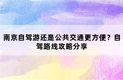 南京自驾游还是公共交通更方便？自驾路线攻略分享