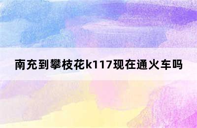 南充到攀枝花k117现在通火车吗