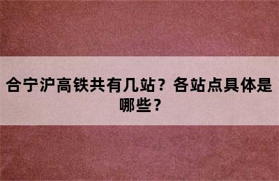 合宁沪高铁共有几站？各站点具体是哪些？