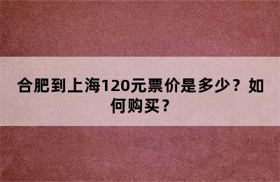 合肥到上海120元票价是多少？如何购买？