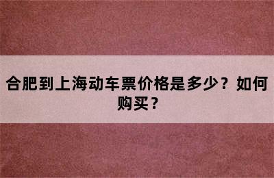 合肥到上海动车票价格是多少？如何购买？