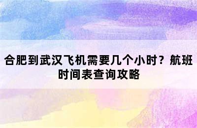 合肥到武汉飞机需要几个小时？航班时间表查询攻略