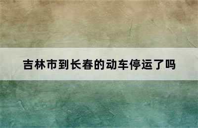 吉林市到长春的动车停运了吗