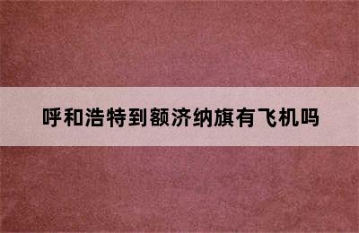 呼和浩特到额济纳旗有飞机吗