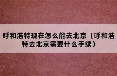 呼和浩特现在怎么能去北京（呼和浩特去北京需要什么手续）