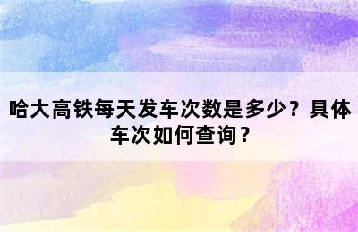 哈大高铁每天发车次数是多少？具体车次如何查询？