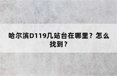 哈尔滨D119几站台在哪里？怎么找到？