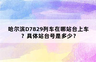 哈尔滨D7829列车在哪站台上车？具体站台号是多少？