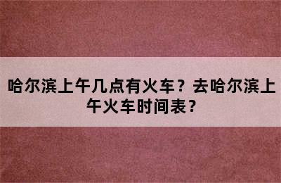 哈尔滨上午几点有火车？去哈尔滨上午火车时间表？