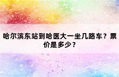 哈尔滨东站到哈医大一坐几路车？票价是多少？