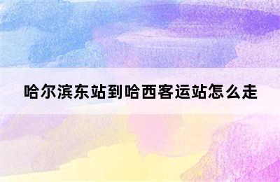 哈尔滨东站到哈西客运站怎么走