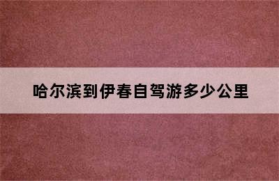 哈尔滨到伊春自驾游多少公里