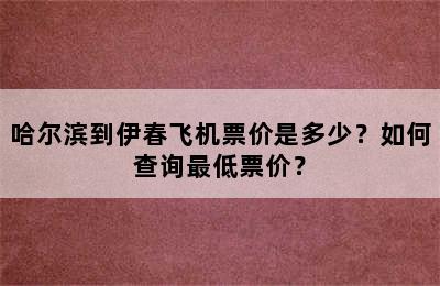 哈尔滨到伊春飞机票价是多少？如何查询最低票价？