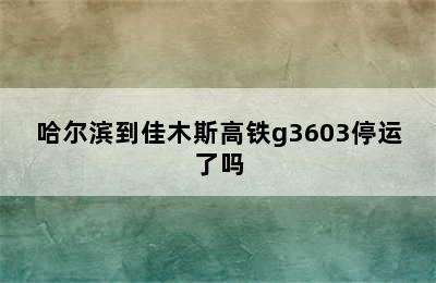 哈尔滨到佳木斯高铁g3603停运了吗