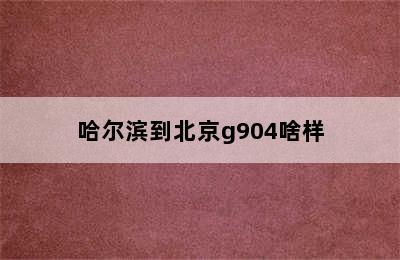 哈尔滨到北京g904啥样