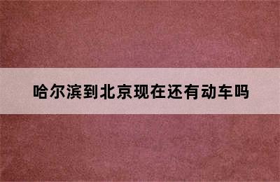哈尔滨到北京现在还有动车吗