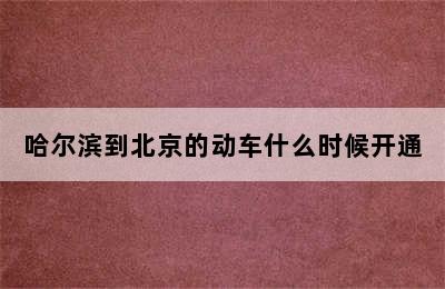 哈尔滨到北京的动车什么时候开通